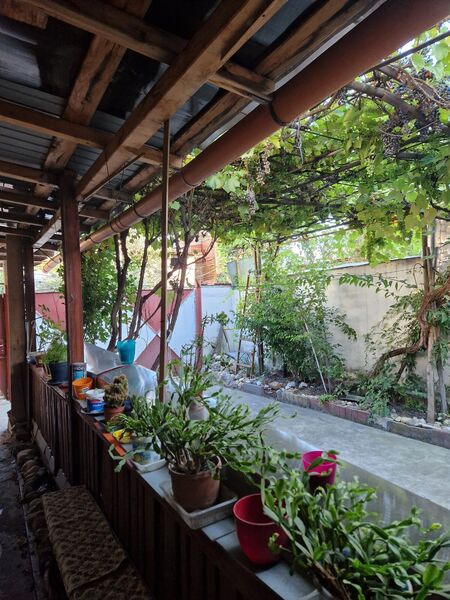 Colentina, Carrefour,