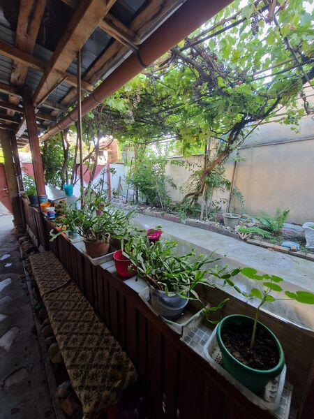 Colentina, Carrefour,