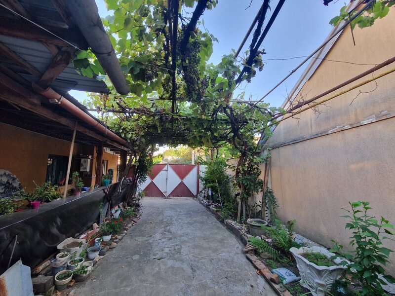 Colentina, Carrefour,